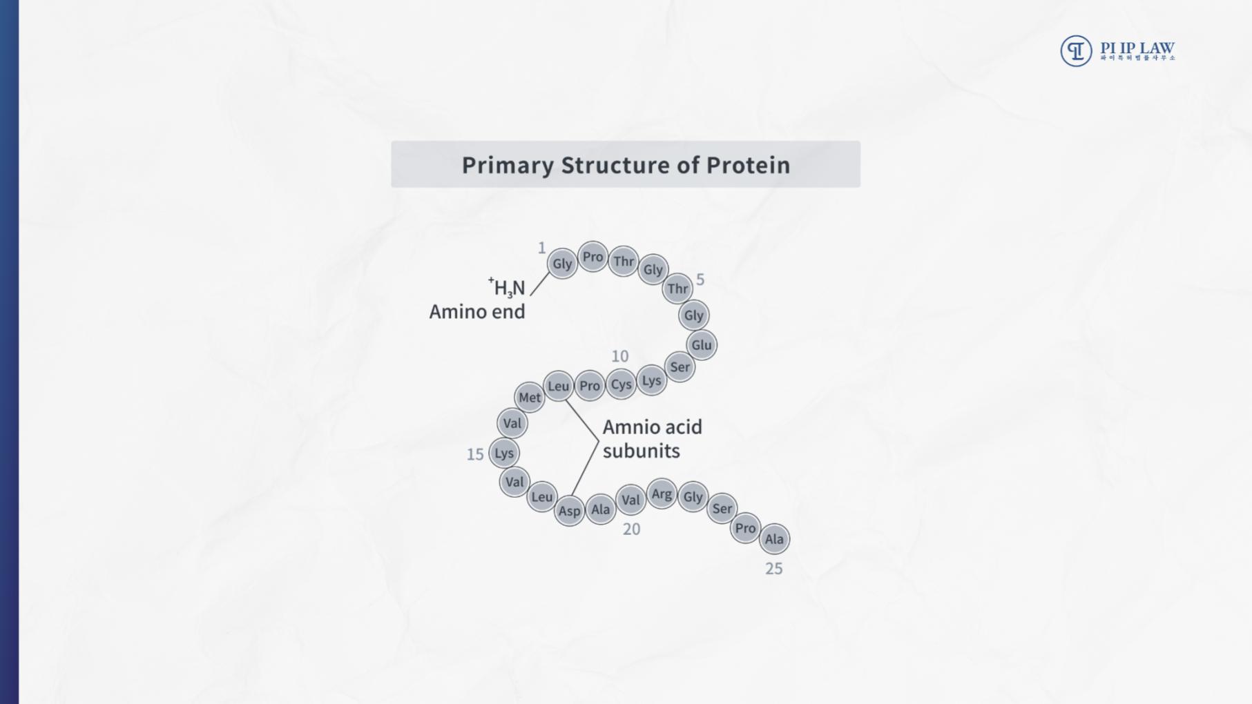 Primary structure of proteins